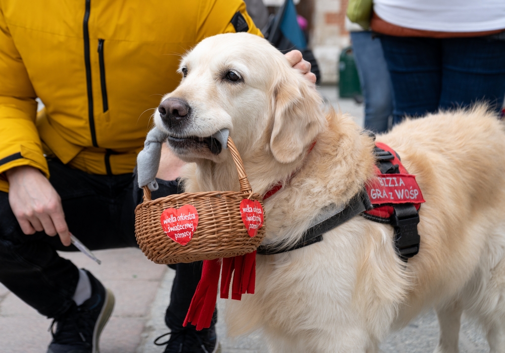 Czy darowizna na WOŚP podlega odliczeniu od podatku?